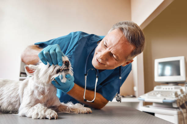 Best Cracked Tooth Emergency Dentist  in San Angelo, TX